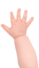 baby hand
